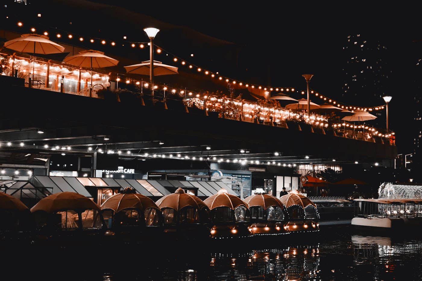 Dinner Cruise Orlando: Real Prices, Best Picks & What to Expect